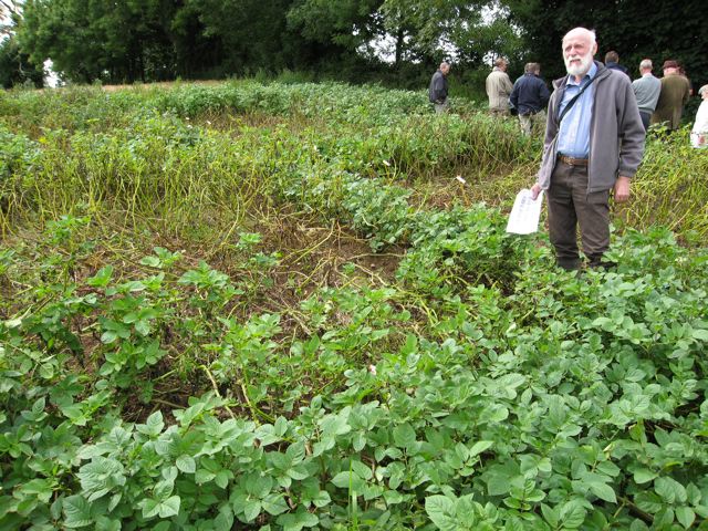 renewablegardeningnov12pic2.