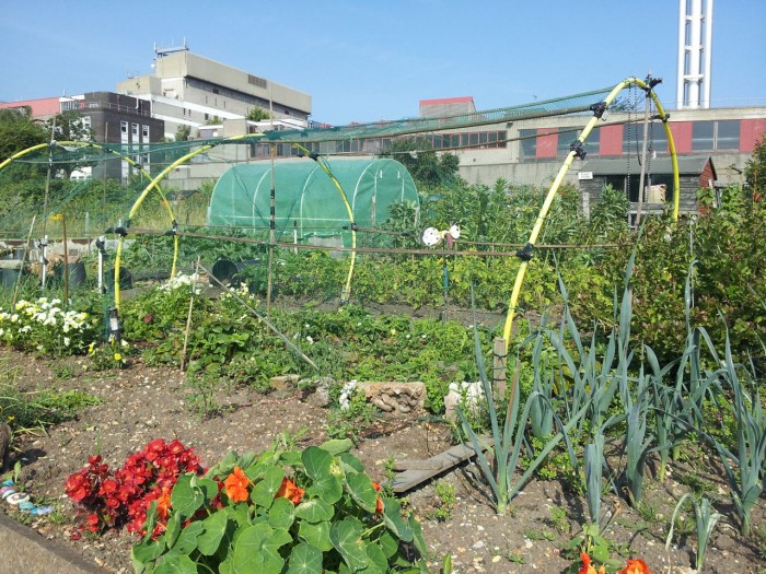 Farm Terrace Allotments Farm Terrace Allotments
